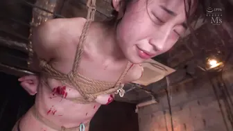 MVSD-681 [中文字幕]偏差值78的天才知性美少女 偏差值0的变态抖M猪美少女 20岁的美少女一直憧憬的梦想不是学者也不是艺术家...而是被男人们玩弄、强暴、轮姦，成为被虐肉便器的事。。 白鸟怜
