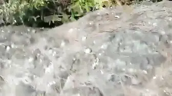 偸情小姨子山上野战正在性头上被路人打断