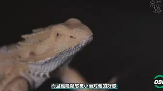 π096 MVSD425一部也许你会错过的经典