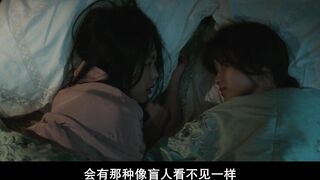 小姐.The.Handmaiden.2016.BD1080P.国韩双语.中字